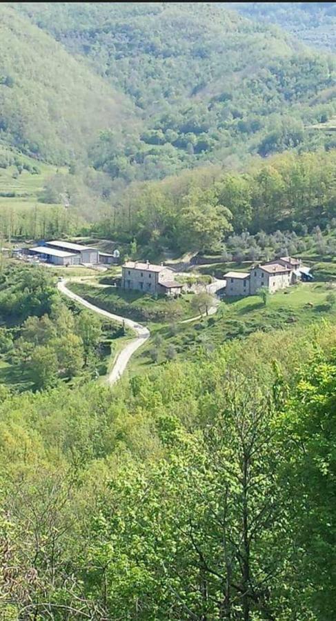 Villa Le Chianine Dei Tognoli Gragnola Exterior foto